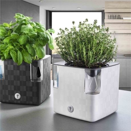 6 stk COBBLE Clever Herb Pot